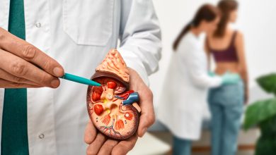 El cáncer de riñón es un cáncer que comienza en los riñones. Los riñones son dos órganos con forma de frijoles.