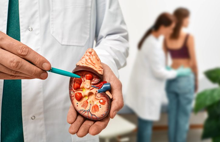 El cáncer de riñón es un cáncer que comienza en los riñones. Los riñones son dos órganos con forma de frijoles.
