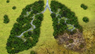 Recientemente se han descubierto nuevas pistas sobre cómo la contaminación atmosférica puede contribuir al desarrollo del cáncer de pulmón.