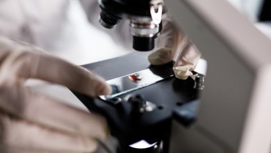 El estudio también identificó 40 proteínas en la sangre que influían en el riesgo de que una persona desarrollara 9 tipos de cáncer.