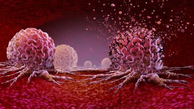 Nuevo estudio identifica la proteína p62 como clave en el crecimiento del cáncer, ofreciendo un potencial objetivo para desarrollar terapias más efectivas contra los tumores.