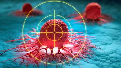 Un grupo de investigadores italianos bajo identificaron una proteína (p62) que podría ser fundamental en el tratamiento contra el cáncer.